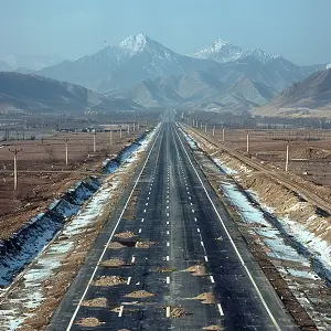 珠海旅游攻略宠物